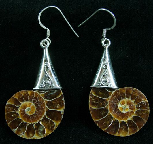 Stylish Ammonite Earrings - Sterling Silver #7669